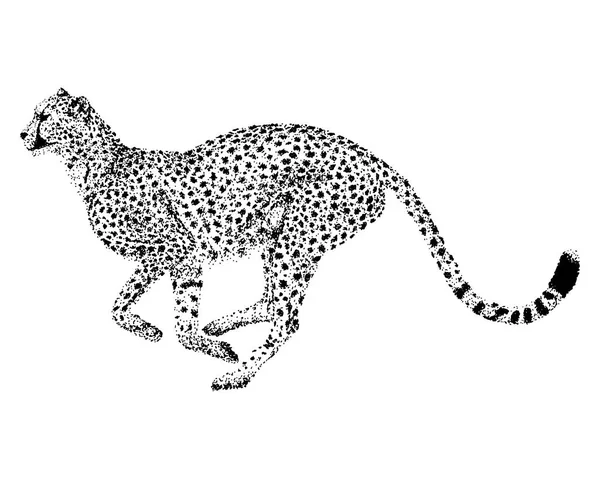 Executando Cheetah Pontos Dot Design Vector Gráfico — Vetor de Stock