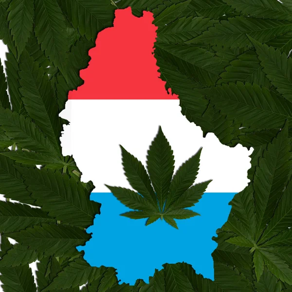 Drug Policy of Luxembourg regarding the Use of Cannabis