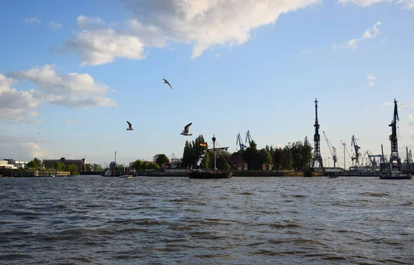 Barcos Vela Pauli Landungsbrucken Hafengeburtstag — Foto de Stock