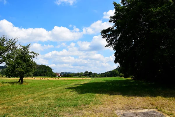 Deutsche Landschaft Bäume Felder Wiesen Und Blauer Himmel — Stockfoto