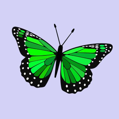 Yeşil Kanatlı Kelebek - Vektör Tasarımı 