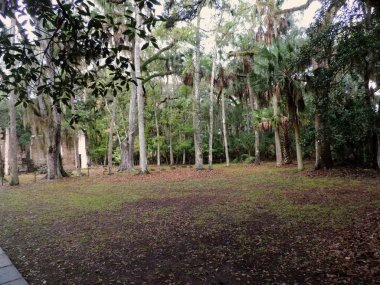 Daytona yakınlarındaki Bulow Plantation Ruins Tarihi Devlet Parkı - Anıt Tarihi Yerler Ulusal Kayıt listelenen