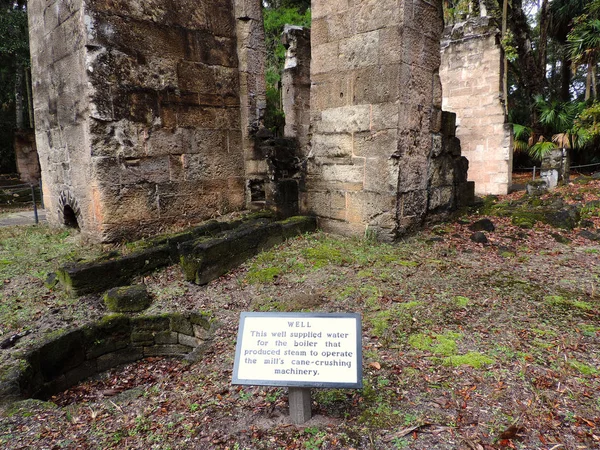 Ruines Bulow Plantation Parc Historique National Près Daytona Monument Inscrit — Photo