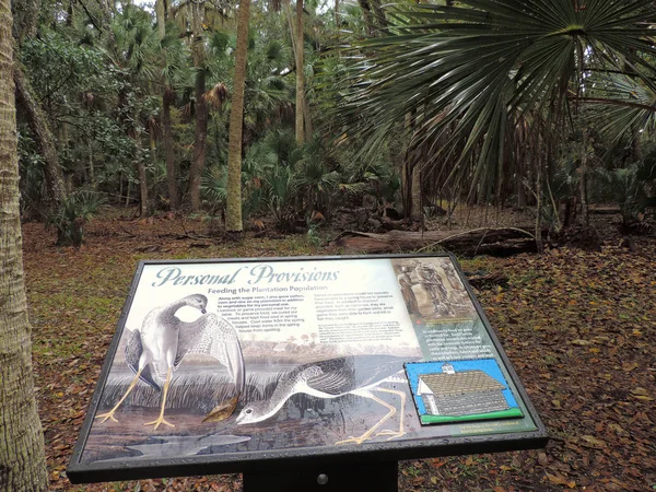 Bulow Plantation Ruïnes Historic State Park Buurt Van Daytona Monument — Stockfoto