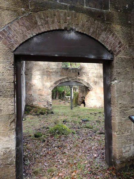 Bulow Plantation Ruins Historic State Park Daytona Monument Listed National — Stock Photo, Image