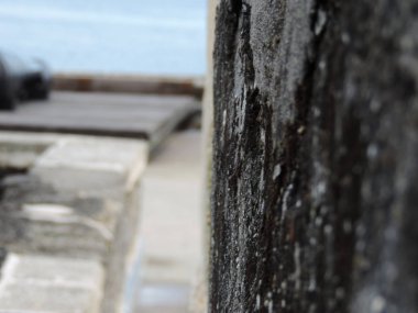 St. Augustine 'deki Castillo de San Marcos topları. - 