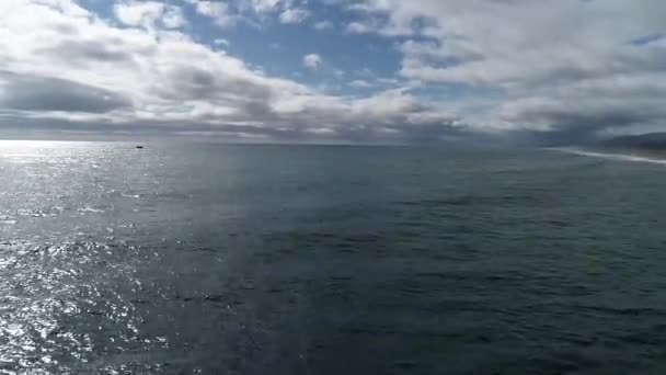 Fiskare Fångar Rosa Lax Gulf Tålamod Havet Okhotsk Sakhalin Island — Stockvideo