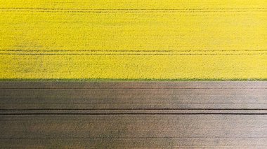 Ryazan karaya kuş bakışı bakıyor.