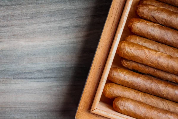 Zigarren Humidor Auf Dem Hölzernen Hintergrund — Stockfoto
