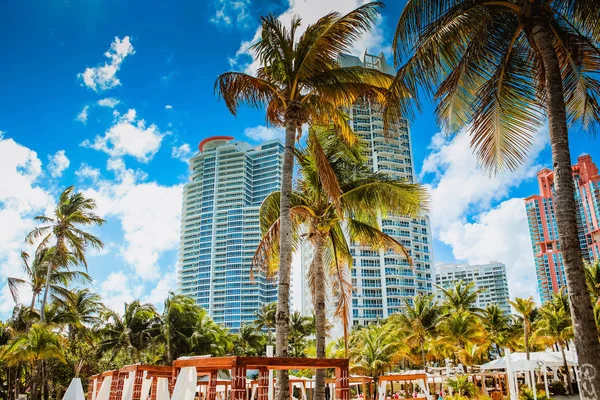 Miami Florida Abd Şubat 2019 Nikki Plaj Kulübü Nün Yanındaki — Stok fotoğraf
