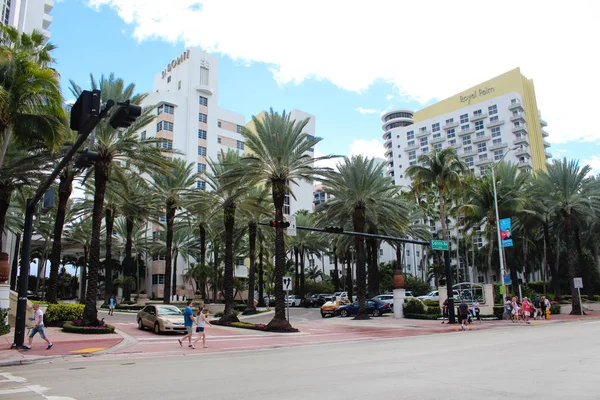 Miami Beach Flórida Eua Fevereiro 2019 Vista Rua Royal Palm — Fotografia de Stock