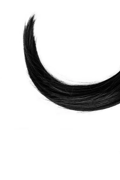 Чорне Темне Волосся Ізольоване Білому Тлі Розширення Натурального Волосся Брюнетки — стокове фото