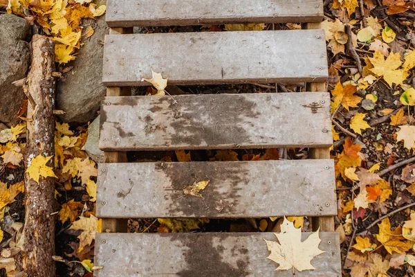 Vista Superior Puente Madera Cubierto Con Hojas Colores Hojas Otoño — Foto de Stock