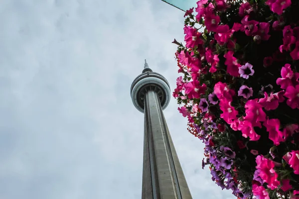 Toronto Ontario Canadá Agosto 2019 Vista Desde Arriba Torre Con — Foto de Stock