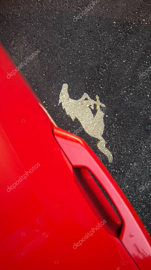 Ottawa ON, Canada - August 06, 2025: Iconic Ford Mustang logo on asphalt with a striking red car hood, emphasizing American muscle car heritage and style