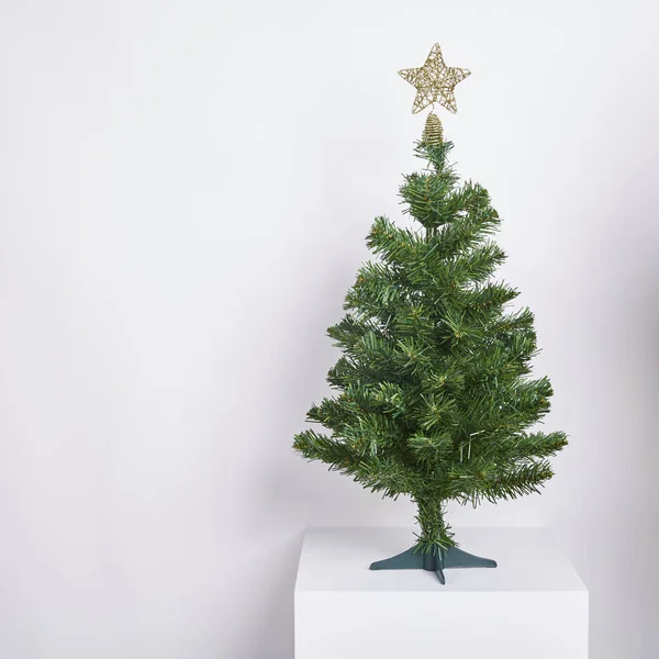 Weihnachtsbaum Konzept Innenraum Mit Dekoration Auf Weißem Hintergrund Stockbild