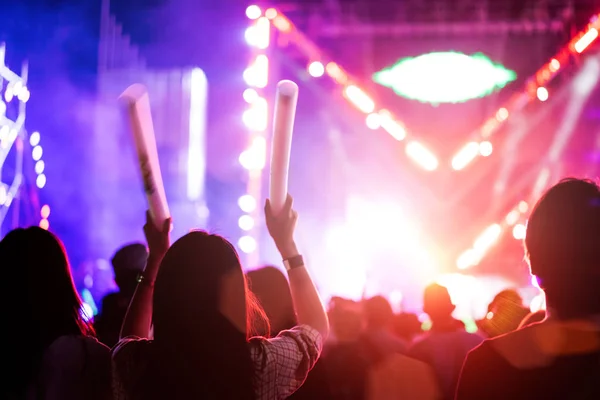 Due Donne Amiche Folla Concerto Palco Luci Persone Fan Pubblico — Foto Stock