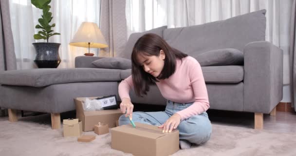 Jovem Negócio Asiático Mulher Trabalho Forma Casa Online Site Compras — Vídeo de Stock