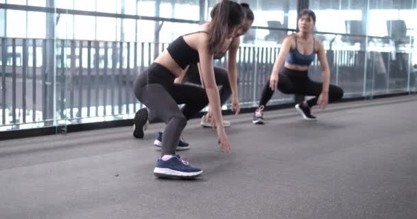 Spor Kıyafetli Bir Grup Asyalı Genç Kadın Jimnastikle Isınıyor Egzersiz — Stok video