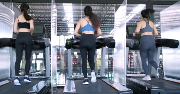 Grupo Mulheres Exercício Esteira Cardio Running Workout Ginásio Fitness Tendo — Vídeo de Stock