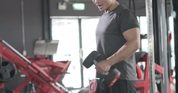 运动员用哑铃进行运动 强壮的男子在健身馆进行健美锻炼 运动积极健康的生活方式 锻炼肌肉二头肌 — 图库视频影像