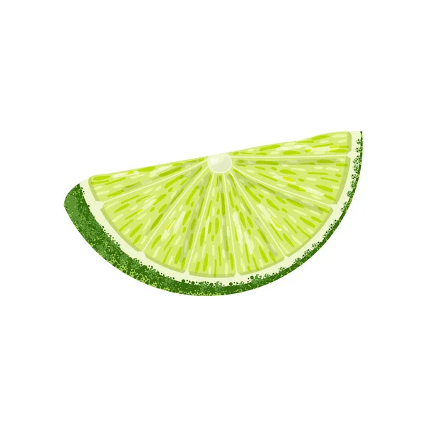 Tranche de citron vert isolée sur blanc . — Image vectorielle