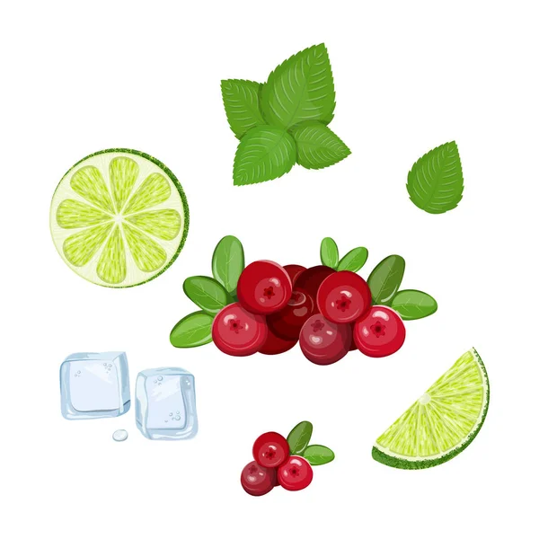 Mojito malzemeler seti