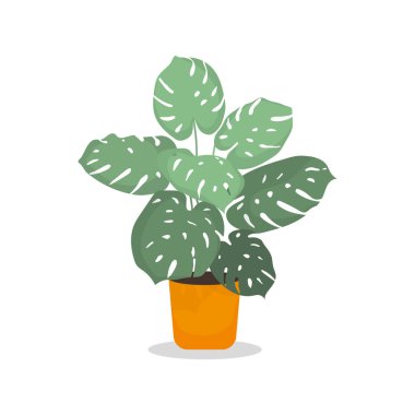 Tenceredeki canavar beyaz arka planda izole edilmiş. Düz stil ev bitkisi fildişi. Tasarım, tebrik kartı, poster, davetiye için tropik palmiye ağacı vektör illüzyonu.