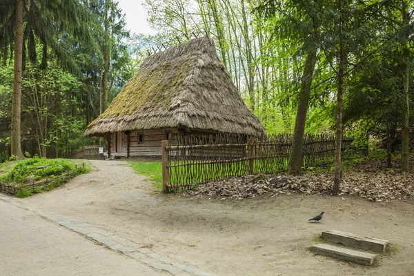 Green Travel Grass Park Nature Outdoor Wooden Wood Old Village — Stock Photo, Image