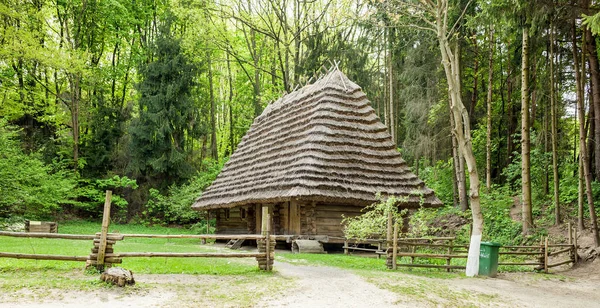 Green Travel Grass Park Nature Outdoor Wooden Wood Old Village — Stock Photo, Image