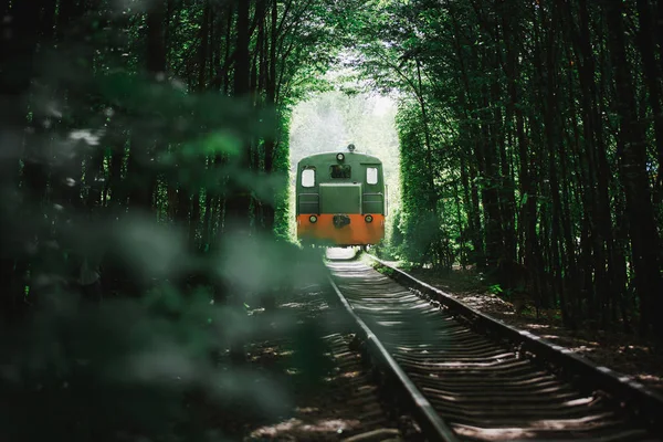 De trein gaat naar de tunnel van liefde in de zomer. groene bomen — Stockfoto