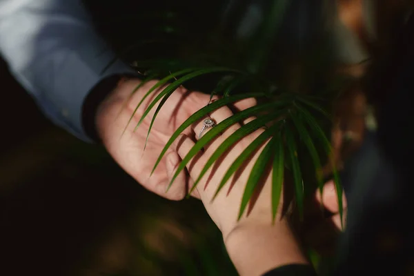 Two lovers, a couple, a boy and a girl are holding hands. The girl on her hand is a wedding ring. the concept of love — Stock Photo, Image