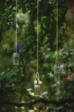 Gül ve ormanda ağaçların arasında bir iş parçacığı üzerinde askıya diğer çiçek düğün süslemeleri küçük şişeler gelen dolu