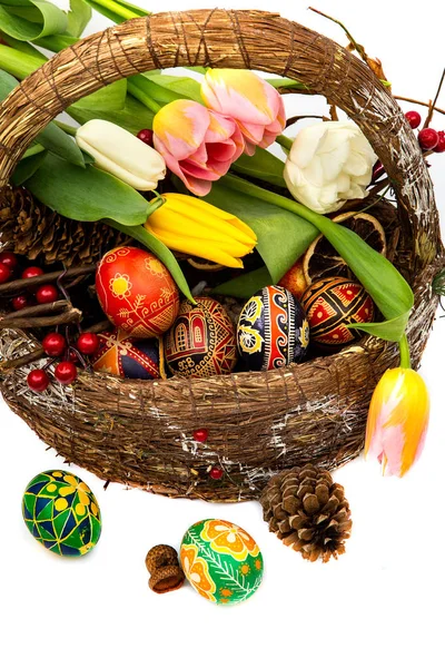 Весенняя открытка. Пасхальные яйца в деревянной корзине. Весенние цветы тюльпаны Корзина с пасхальными яйцами на белом фоне — стоковое фото
