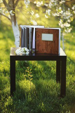 doğada masada iki ahşap fotoğraf kitapları. yazıt için bir yer