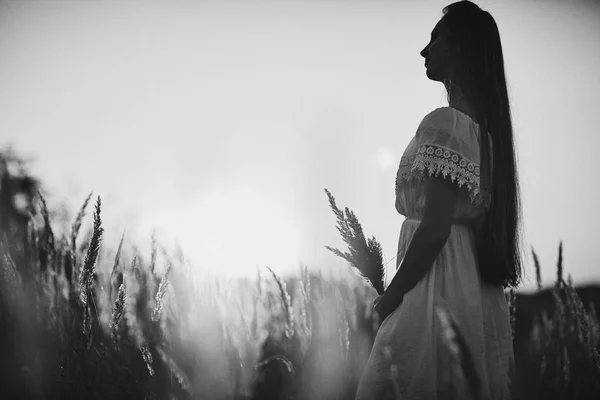 Ritratto di una bella ragazza vestita di bianco sul campo al tramonto. Estate. unità con la natura . — Foto Stock