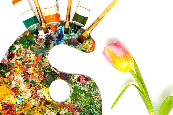 Paletta a színes festékek. Színes olajfestmény palettán egy ecset elérte a. Ecsetek és festékek, rajz. tulipán, a fehér háttér — Stock Fotó