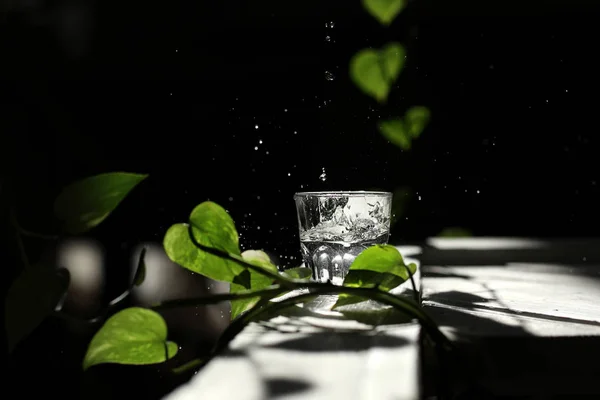 Un verre d'eau sur fond sombre parmi les feuilles vertes. Eau renversée du verre. gouttes d'eau sur un fond noir. Concept écologique — Photo
