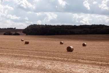 Saman balya anız alanlarında. bulutlar gökyüzü. alandan sonra hasat
