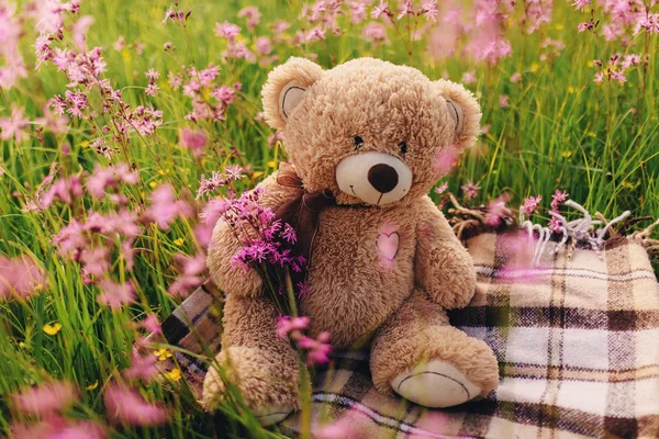 Teddy bear and a bouquet of lilac flowers. toy bag with a bouquet of flowers. spring flowers