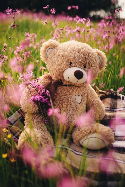Teddy bear and a bouquet of lilac flowers. toy bag with a bouquet of flowers. spring flowers