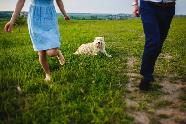 Happy dog is having a rest with the owner in the nature. have fun with her dog in park — Stock Photo, Image