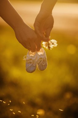 Elele tutuşun. gelecekteki aile. genç bir aile doldurulan için bekliyor. Anne bebek botları tutar, karahindiba baba tutar