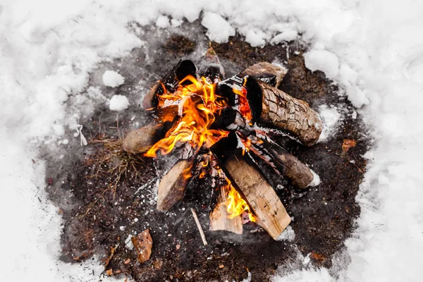 Campfire burns in the snow in the woods.. campfire burning in cold winter. Snow, forest and fire. Winter. Tourism. Flames on snow. Nature.