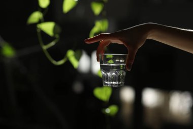 Yeşil yaprakları ile karanlık bir arka plan üzerine bir bardak su holding kadın eller izole. Güneş ışınları cam üzerine düşmek. sağlıklı sabah