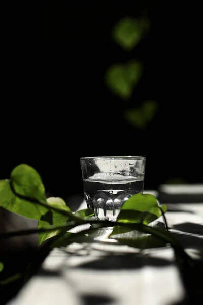 a glass of water on a white table with rays of the sun and with green leavs