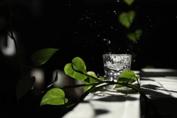 a glass of water on a white table with a branch of a green leaf. splashes in the sun\'s rays.