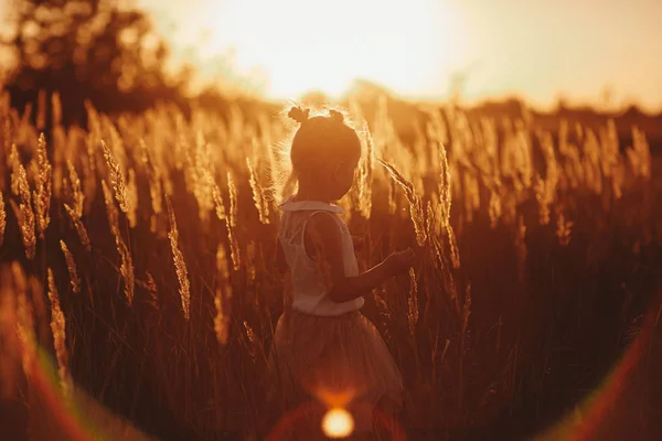Menina bonita ao pôr-do-sol. A menina está brincando no campo entre as ervas — Fotografia de Stock