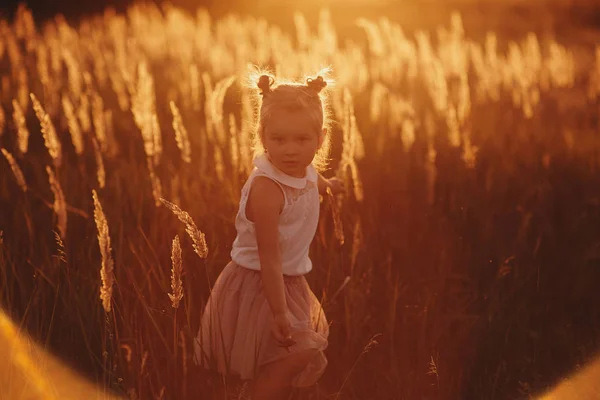 Hermosa chica al atardecer. La chica está jugando en el campo entre las hierbas — Foto de Stock