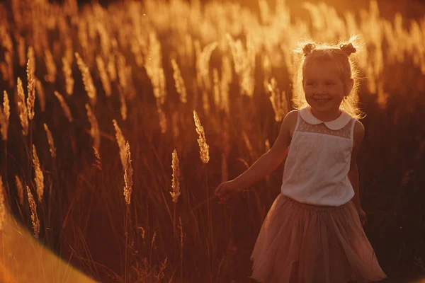 Krásná dívka při západu slunce. Dívka hraje v poli mezi byliny — Stock fotografie